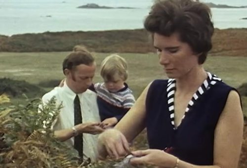 Exploring Life on a Remote Island Community