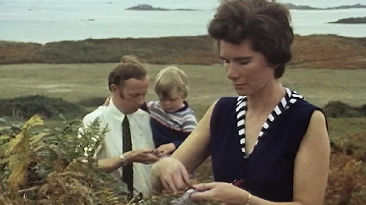 Exploring Life on a Remote Island Community